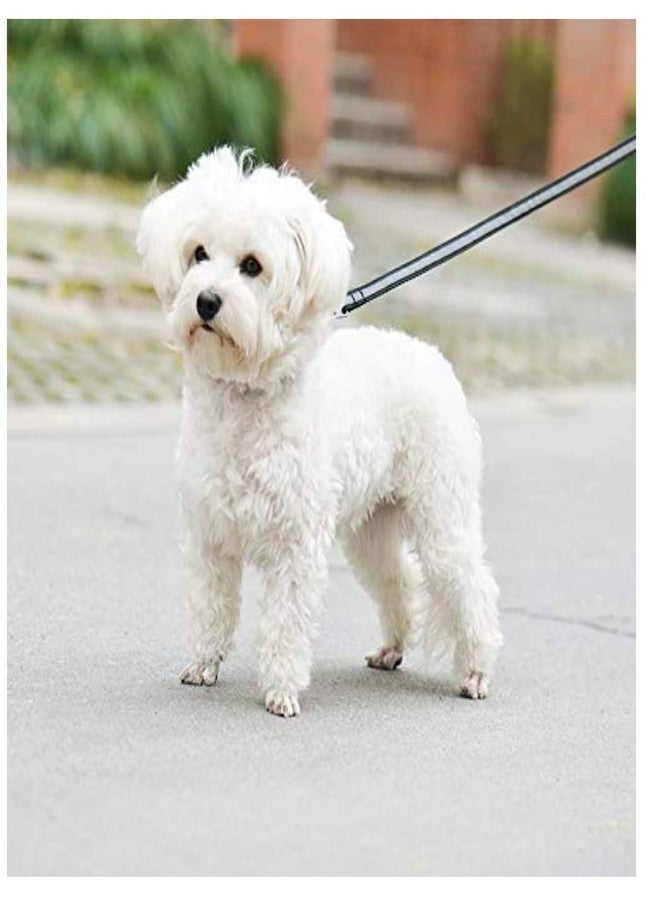 PETLICIOUS & MORE طقم طوق وحزام ومقود للجراء من النايلون العاكس من بيتليشوس آند مور، مقاس 15 مم، مناسب للكلاب الصغيرة والمتوسطة (قد يختلف اللون) - عبوة من (طوق + حزام + مقود) - Image 4